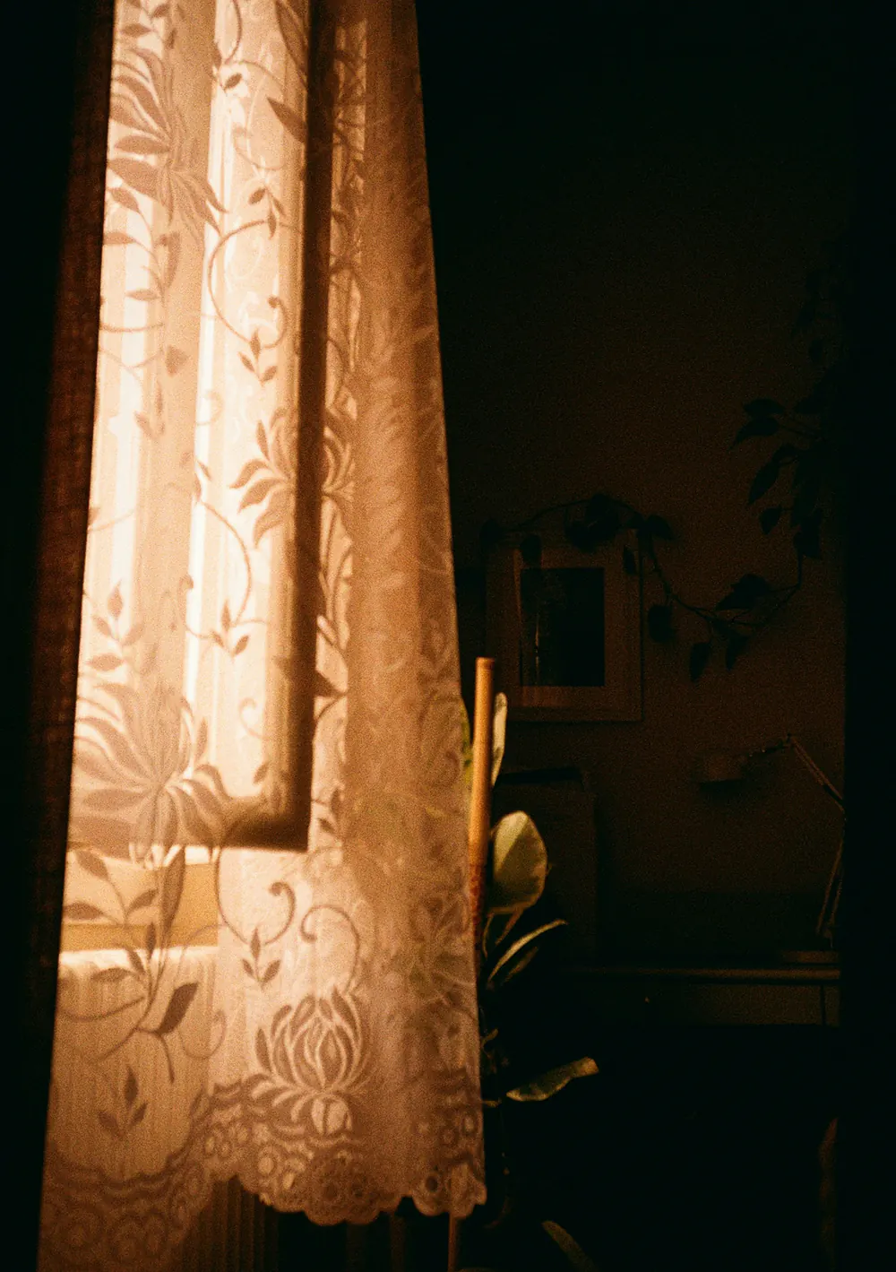 Warm morning light through a lace curtain into a quiet room